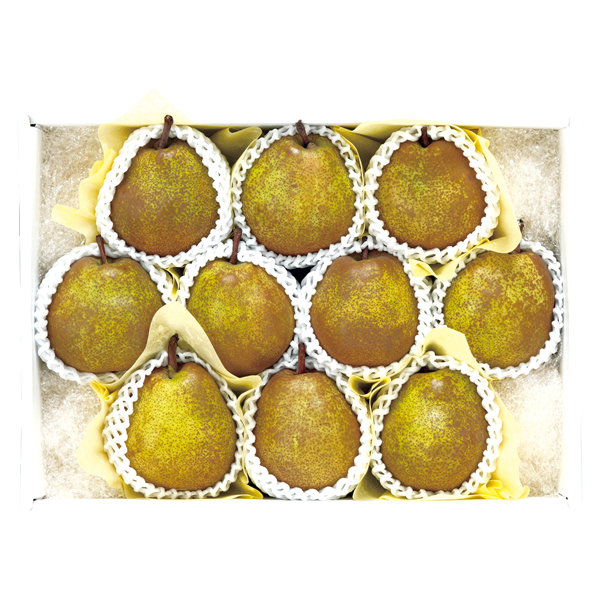 ct[c R`Y  tXy͂ԁF11{`z